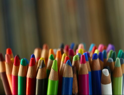 Yönetim Kurulu (YK) Üyeleri